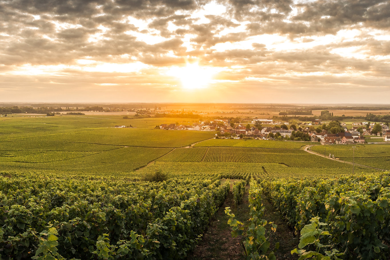 Les Laboratoires en Bourgogne